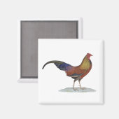 Handsome Alert Rooster Magneet (Voorkant / Achterkant)