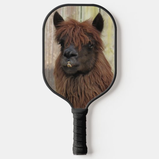 Handsome Alpaca Pickleball Paddle (Voorkant)