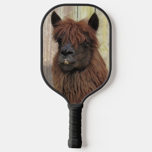 Handsome Alpaca Pickleball Paddle (Achterkant)