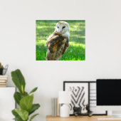 Handsome Barn Owl Poster (Thuiskantoor)