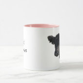 Handsome Belted Galloway Steer Mok (Midden)