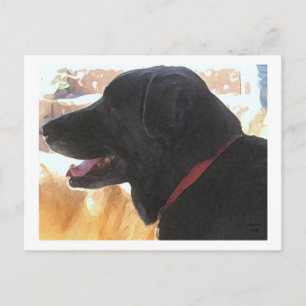 Handsome Black Lab Portrait - Ranch Hondenliefhebb Briefkaart