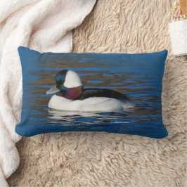 Handsome Bufflehead Duck bij Winter Pond Kussen