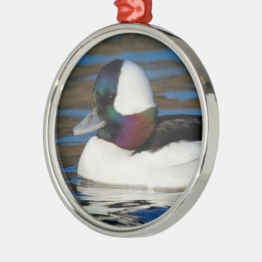 Handsome Bufflehead Duck bij Winter Pond Metalen Ornament (Links)