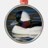 Handsome Bufflehead Duck bij Winter Pond Metalen Ornament (Voorkant)
