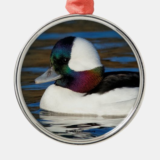 Handsome Bufflehead Duck bij Winter Pond Metalen Ornament (Voorkant)
