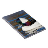 Handsome Bufflehead Duck bij Winter Pond Notitieboek (Rechterzijde)