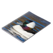 Handsome Bufflehead Duck bij Winter Pond Notitieboek (Linkerzijde)