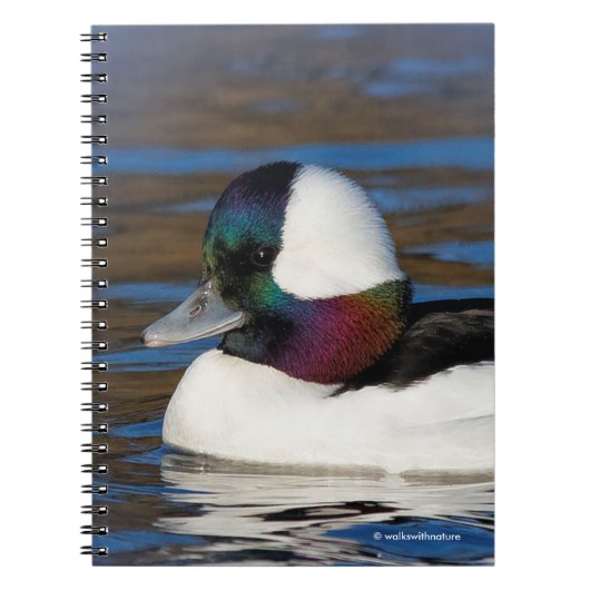 Handsome Bufflehead Duck bij Winter Pond Notitieboek (Voorkant)