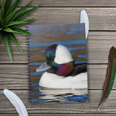 Handsome Bufflehead Duck bij Winter Pond Notitieboek