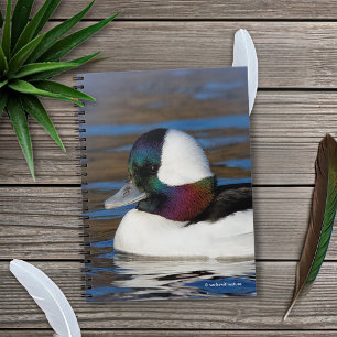 Handsome Bufflehead Duck bij Winter Pond Notitieboek