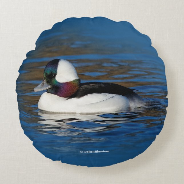 Handsome Bufflehead Duck bij Winter Pond Rond Kussen (Voorkant)