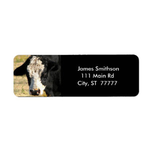 Handsome Bull Etiket
