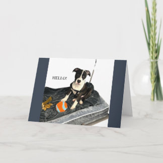 Handsome Bulldog Greeting Card Feestdagen Kaart