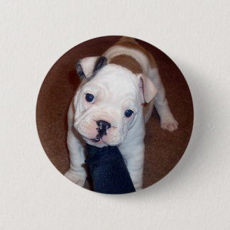 Handsome Bulldog Pinback Button