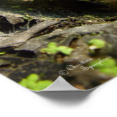 Handsome Bullfrog Poster of Print (Hoek)