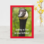 Handsome Canada Goose Funny Birthday Kaart (Gele Bloem)