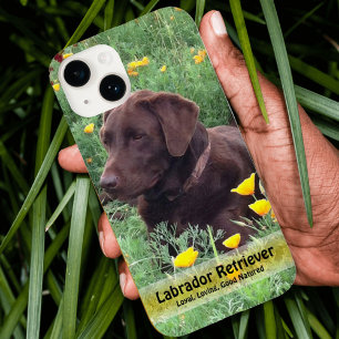 Handsome Chocolate Lab do in Poppy Patch Case-Mate iPhone Case
