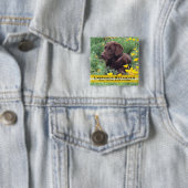Handsome Chocolate Lab in California Poppy Patch Vierkante Button 5,1 Cm (In situ)