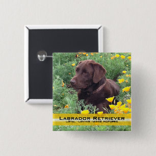 Handsome Chocolate Lab in California Poppy Patch Vierkante Button 5,1 Cm