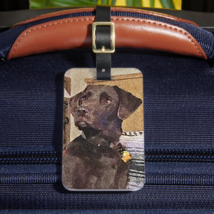 Handsome Chocolate Labrador Retriever Bagagelabel