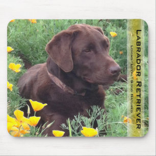 Handsome Chocolate Labrador Retriever Hunting Dog Muismat