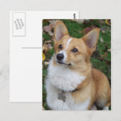 Handsome Corgi Briefkaart (Voorkant / Achterkant)