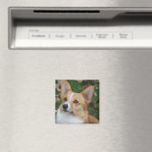 Handsome Corgi Magneet (Insitu (Vaatwasser))
