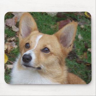 Handsome Corgi Muismat