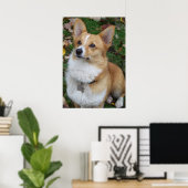 Handsome Corgi Poster (Thuiskantoor)