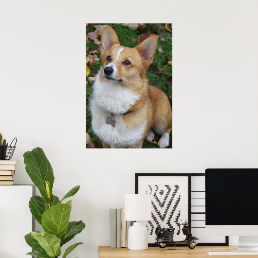 Handsome Corgi Poster (Thuiskantoor)