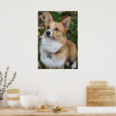 Handsome Corgi Poster (Keuken)