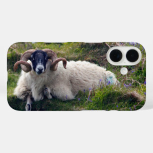 Handsome Curly Horned Ram Lounging in Bluebells iPhone 16 Hoesje