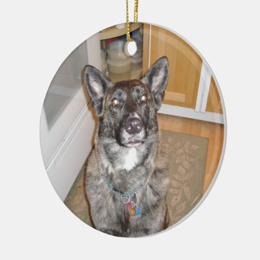 Handsome Dog Ornament (Links)