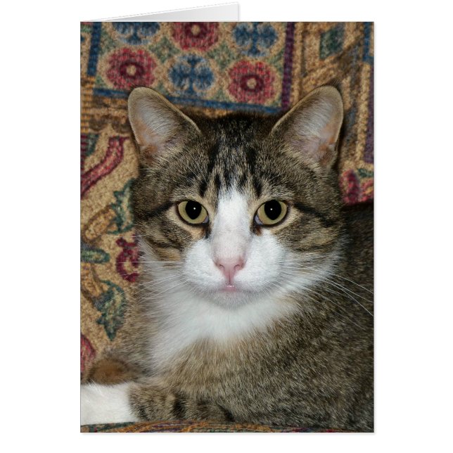 Handsome Fellow (Voorkant)