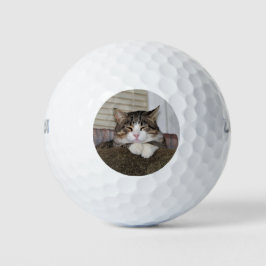 Handsome Fellow Golfballen