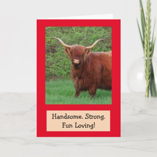 Handsome Funny Highland Steer Birthday Kaart (Voorkant)