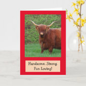 Handsome Funny Highland Steer Birthday Kaart (Gele Bloem)