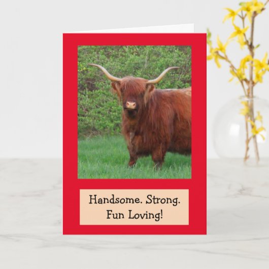 Handsome Funny Highland Steer Birthday Kaart (Gele Bloem)