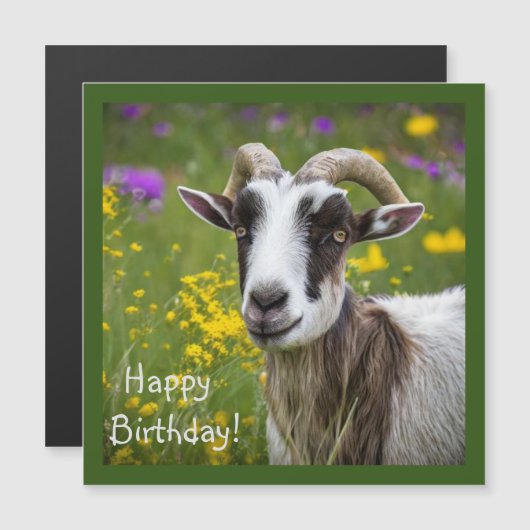 Handsome Goat (Voorkant / Achterkant)