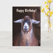Handsome Goat Birthday Kaart (Gele Bloem)