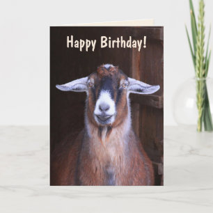 Handsome Goat Birthday Kaart
