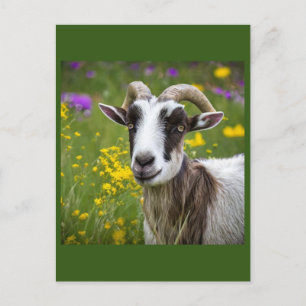 Handsome Goat Briefkaart