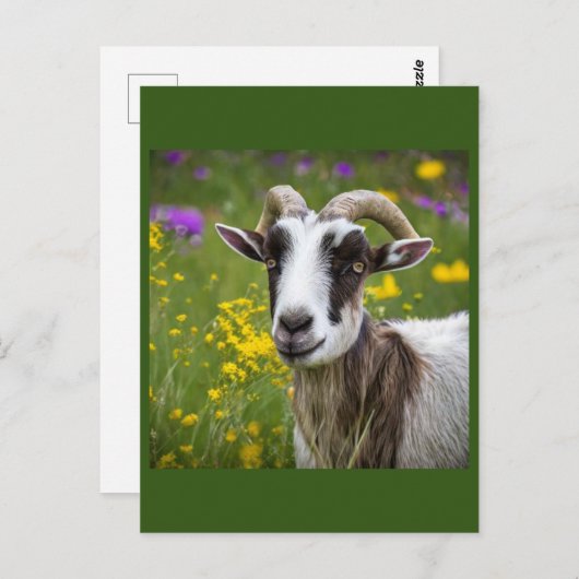 Handsome Goat Briefkaart (Voorkant / Achterkant)