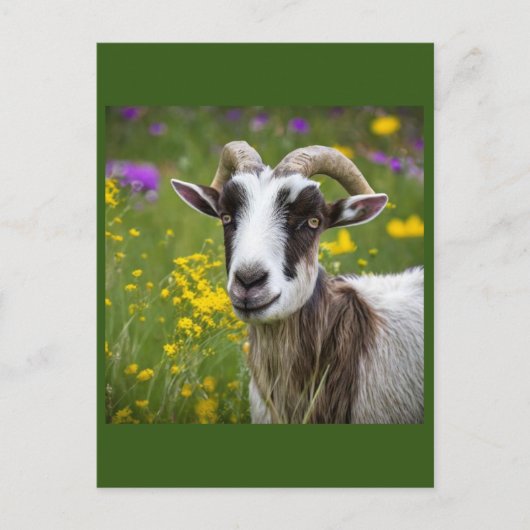 Handsome Goat Briefkaart (Voorkant)