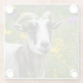 Handsome Goat Glazen Onderzetter (Achterkant)