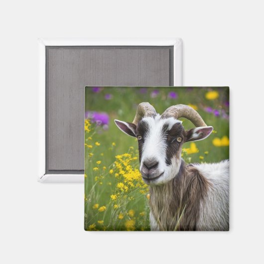 Handsome Goat Magneet (Voorkant / Achterkant)