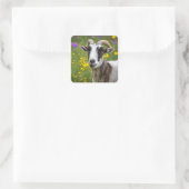 Handsome Goat Vierkante Sticker (Tas)