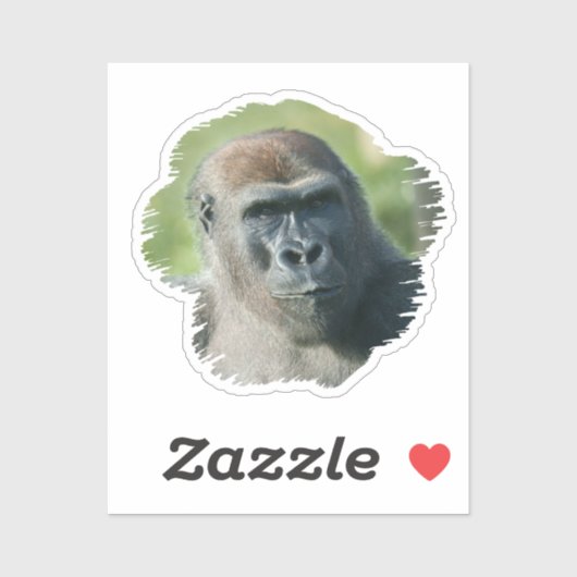 Handsome Gorilla Blackback Sticker (Vel)