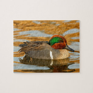 Handsome Green-Winged Blauwgroen Duck op Golden Po Legpuzzel